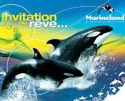 image promo hotel + parc d'attraction